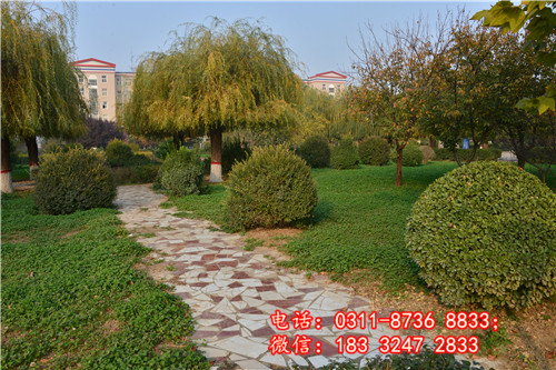 石家莊醫學中專學校2024年招生時間