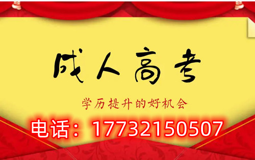 干貨！備考必讀，成考不踩雷！