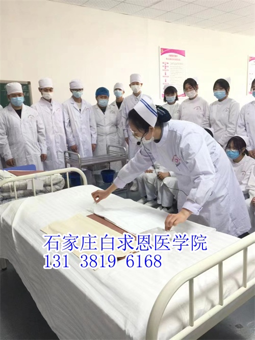 河北對口高考和對口單招有什么不同？