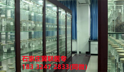 石家莊冀聯醫學院中藥專業好不好