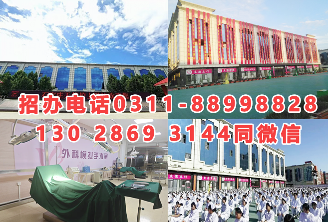 2026年石家莊天使護士學校秋季招生簡章