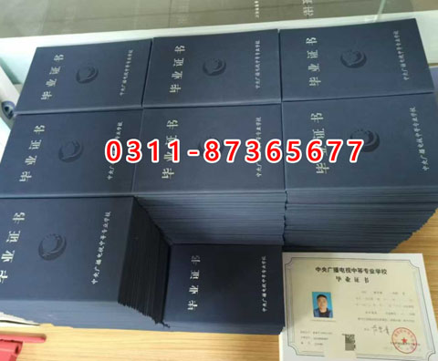 學信網上都能查詢什么學歷呢？