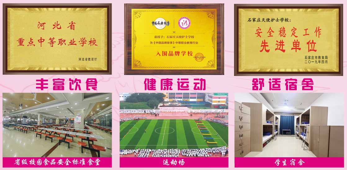 石家莊天使護士學校2026年秋季招生有哪些專業